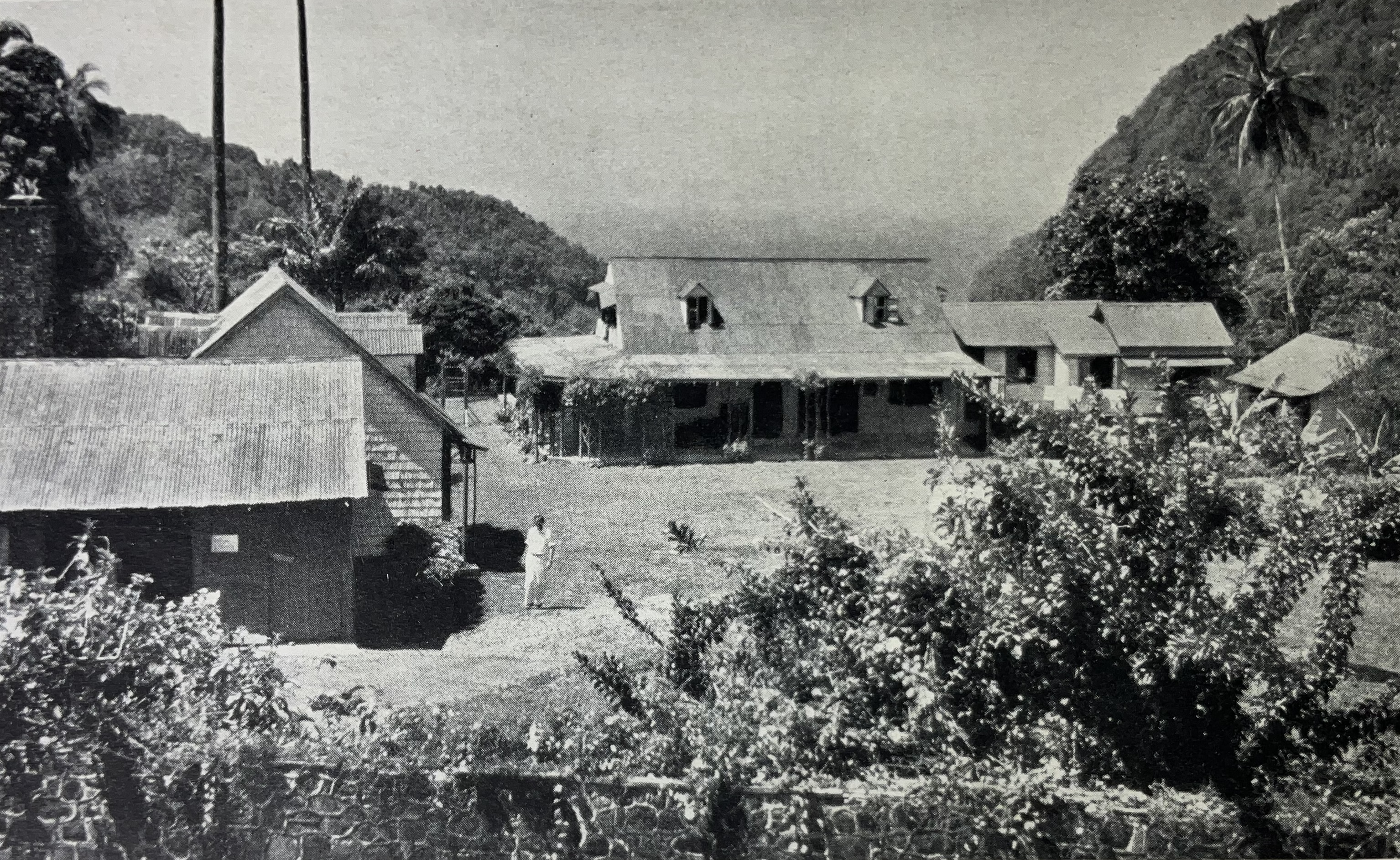 Springfield House in 1948, from Islands to Windward